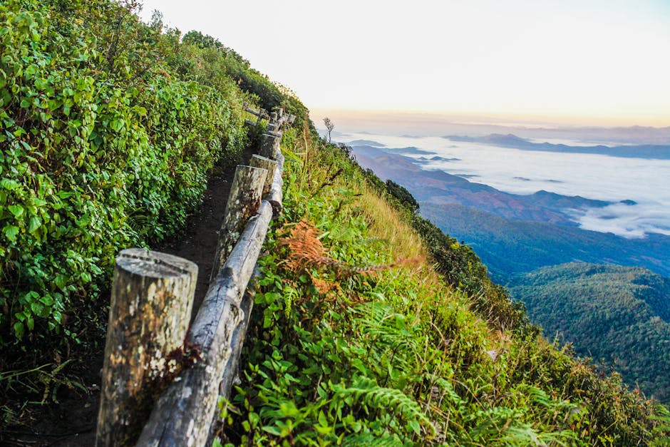 The Best Walks in Scotland for Different Fitness Levels