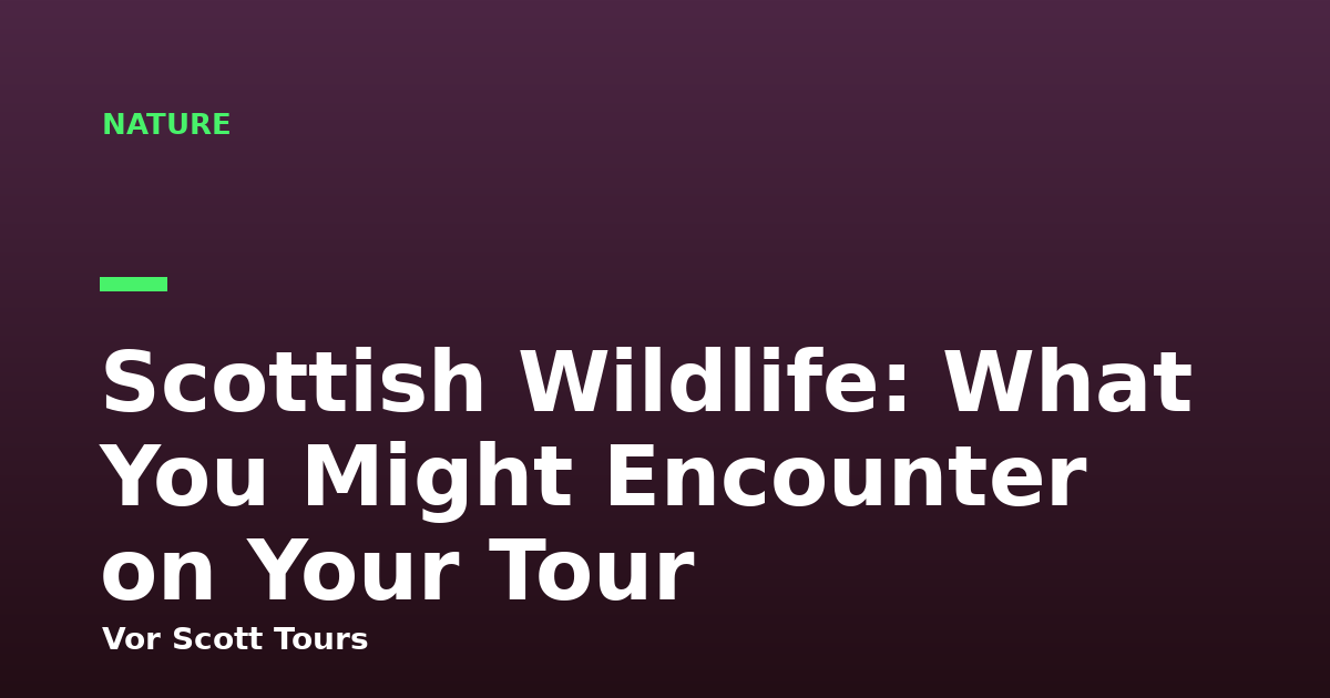 Scottish Wildlife: What You Might Encounter on Your Tour